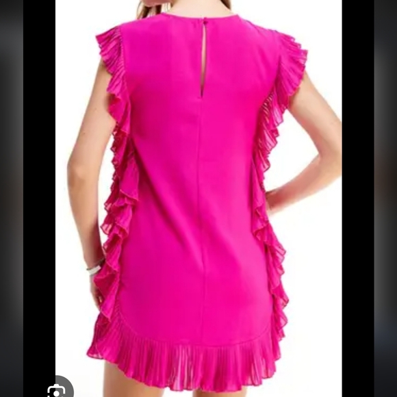 TCEC Pink Ruffle Dress - Picture 10 of 10